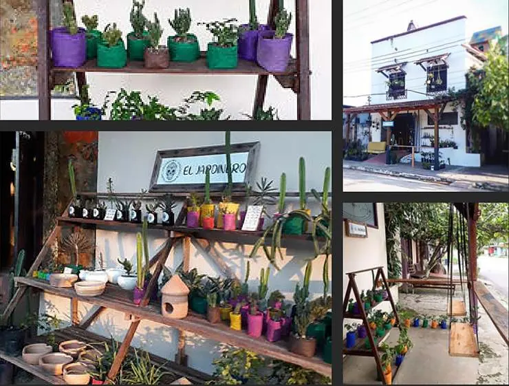 A floricultura cultural